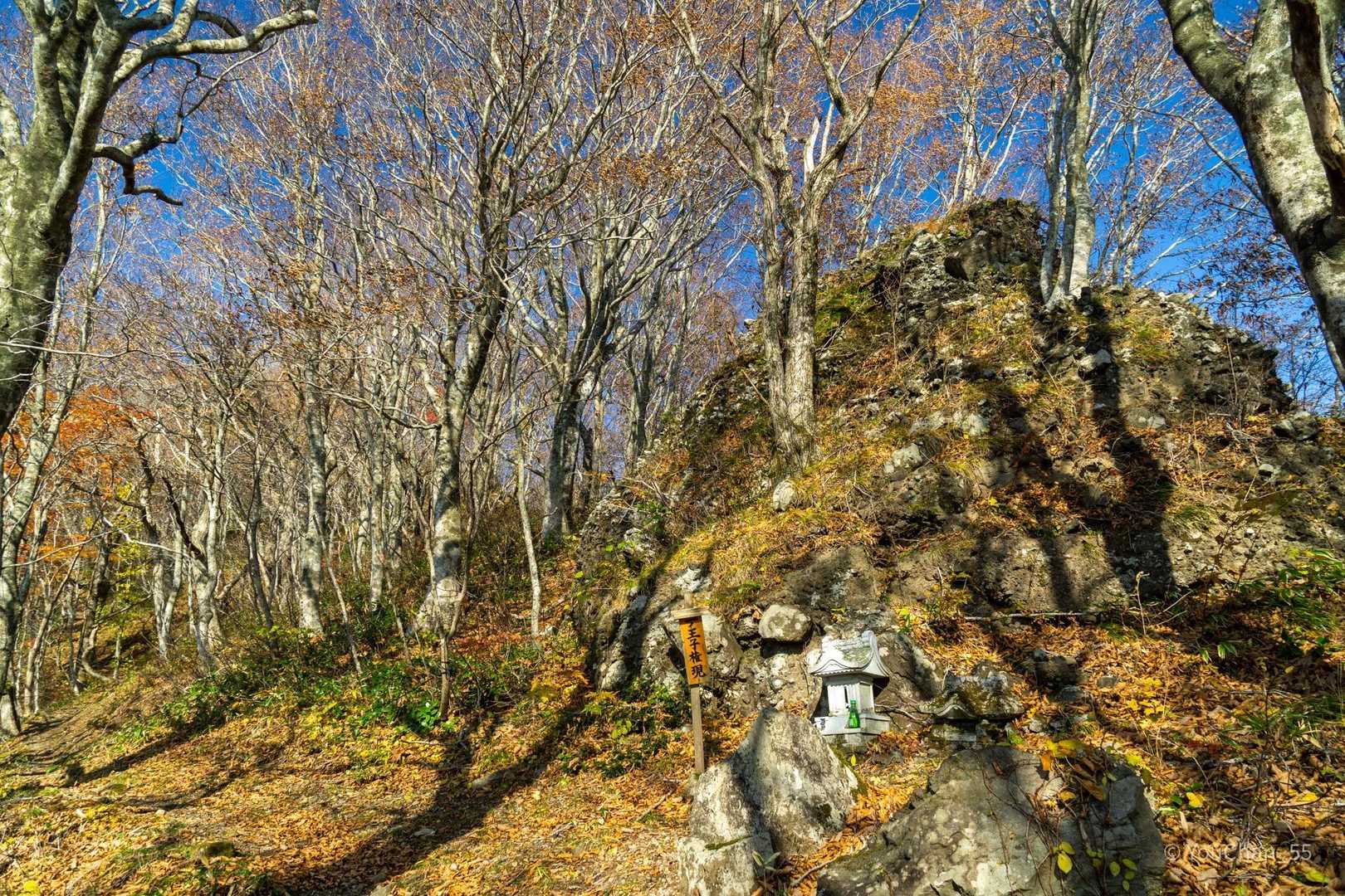 なんとか権現と立て札のある
大きな岩があり、