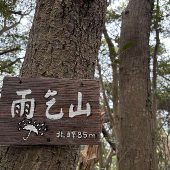 雨乞山北峰⛰️85m☂️