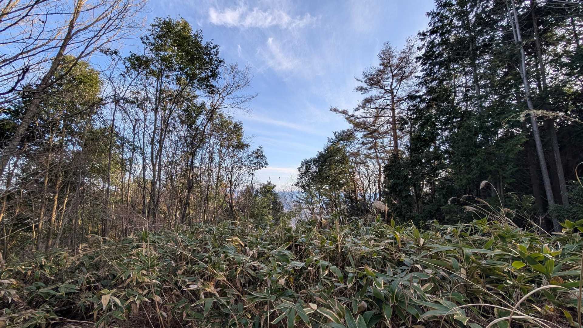 駐車地 下山 
おしまい 有り難う御座いました m(_ _)m 。