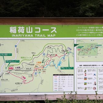 間違えて6号路の方に行ってしまいましたが、戻ってここからスタートです♪