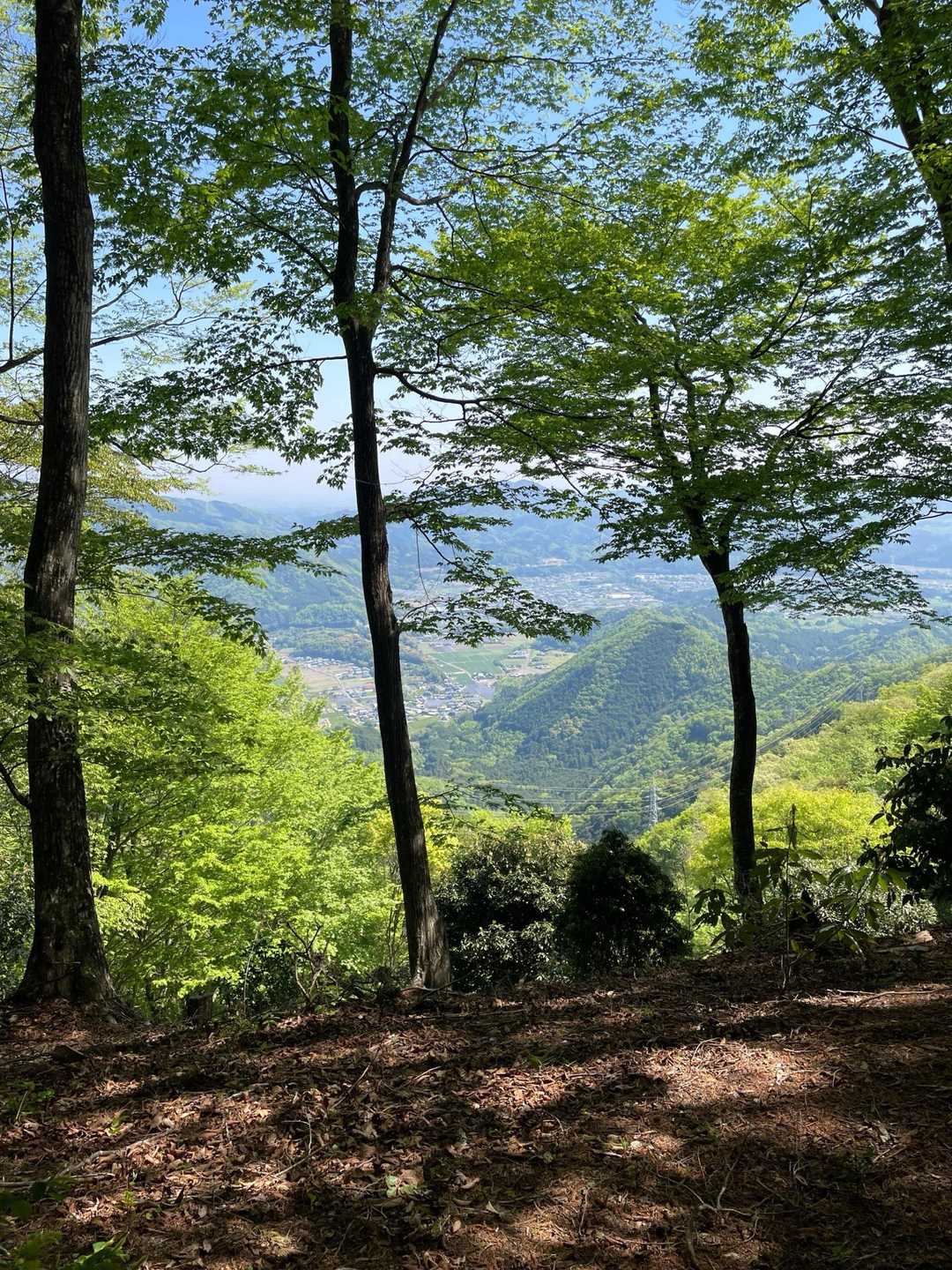 東屋まで戻りました。
素敵な景観💓