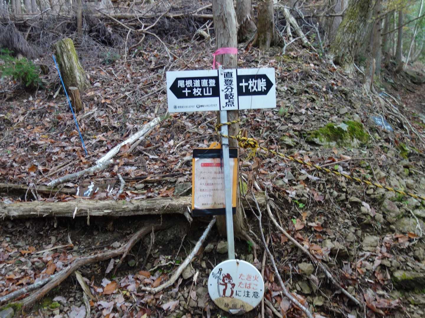 直登分岐に到着
今までもなかなか直登だったけどここから更に直登が続く