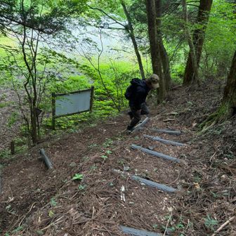 整備されて