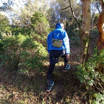 遊歩道から離れて、小高い丘を目指します。