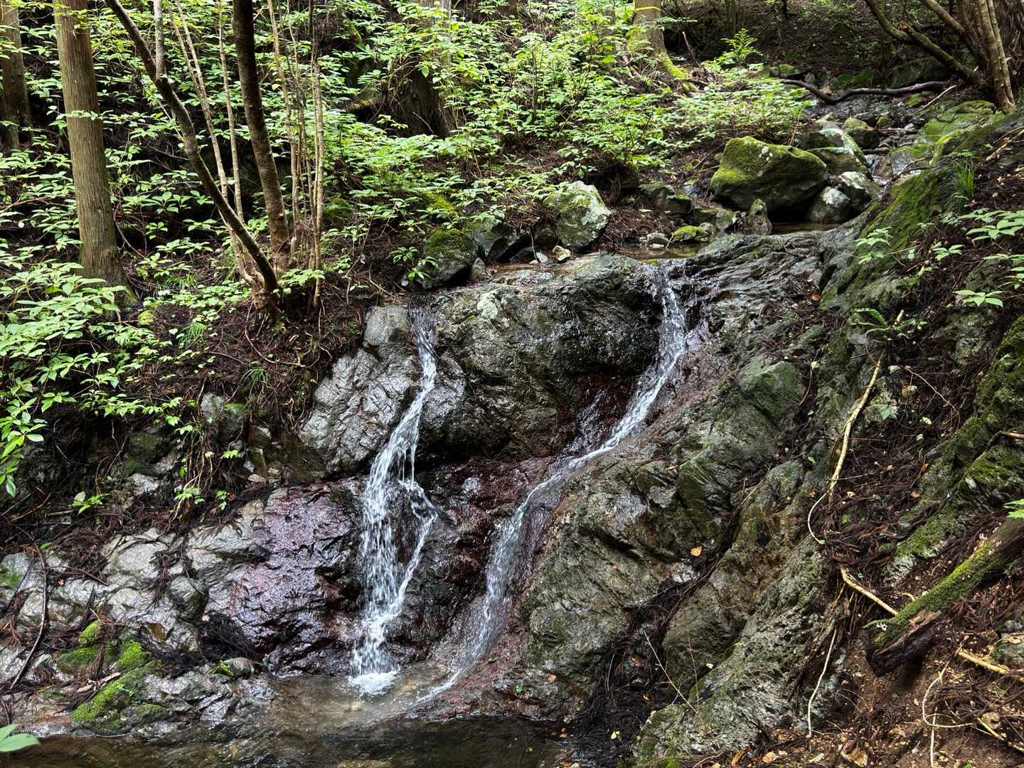 ステキな雰囲気
二ッ箭山に
似てる印象