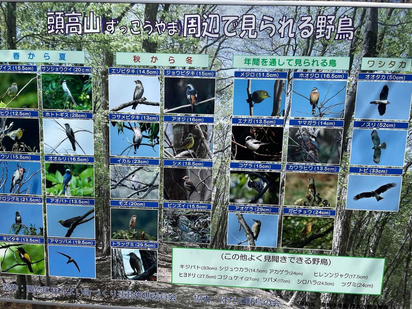 こんなに野鳥いるんだって