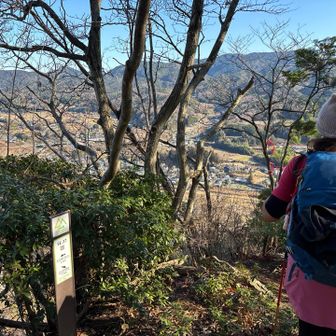 たぶん、ここが頂上
わかりやすい印が無くて、迷いました💦
本日の相棒、ターミー😊