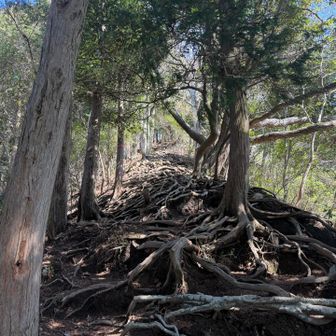 高取山への急登がしんどかった😭