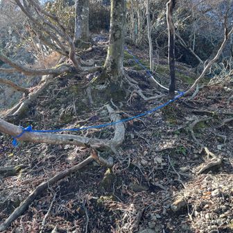 前はここロープなかったな〜