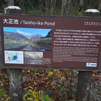 大正池