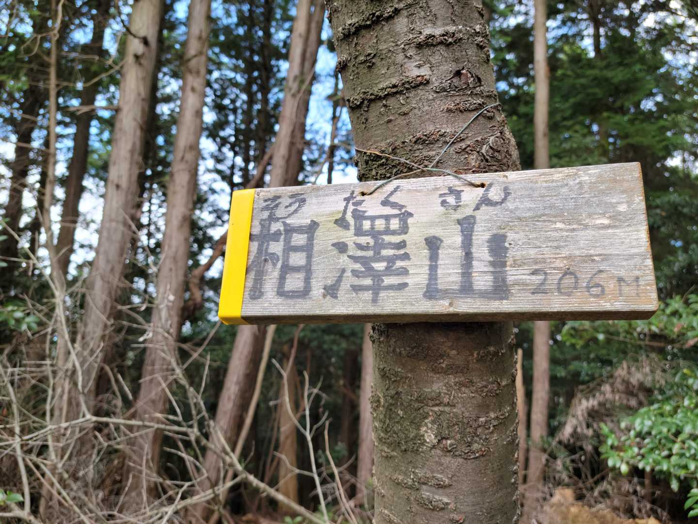 そうたくさんと読むんだー