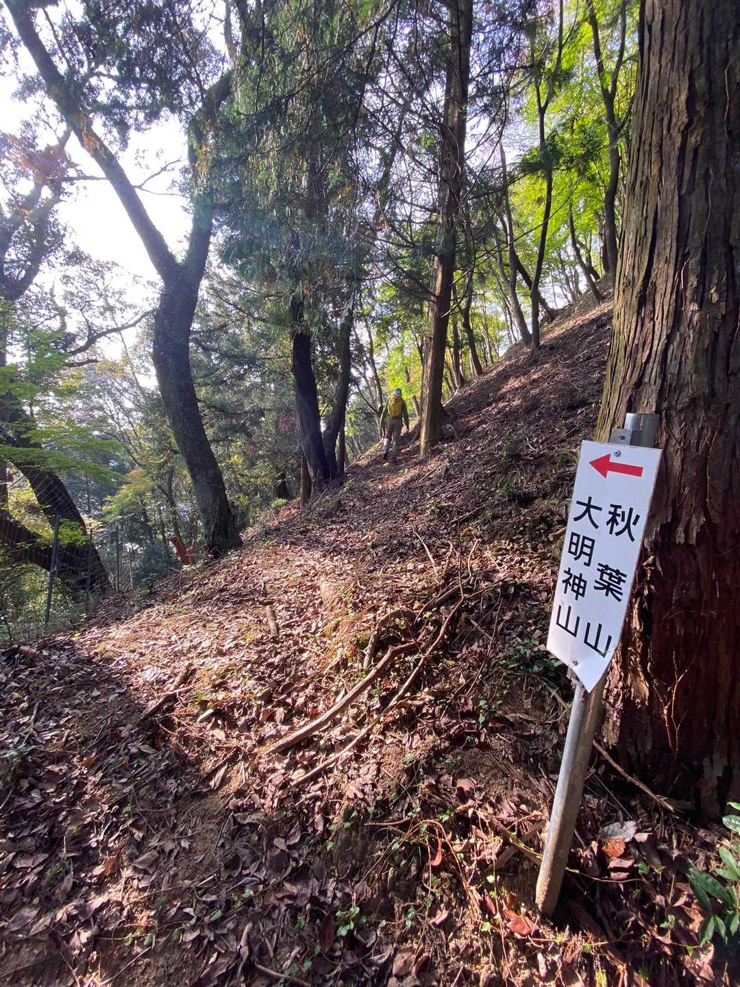 真っ直ぐも行けるみたいだけど、看板通り歩きます🚶‍♀️