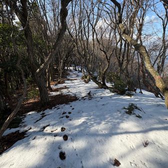 さて、今年の課題は今年の内に。。。10月に🐝にやられて撤退したので、現場まで上から降りてみます。もう🐝もいないでしょう🤔🤔🤔しらんけど🤪