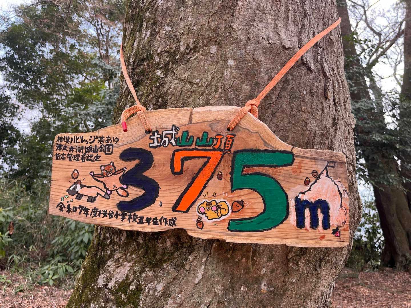 山頂✨
小学生が作ったかわいい看板でした