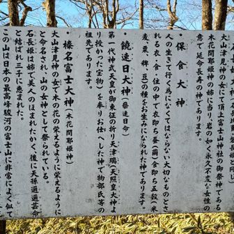 冨士山神社⛩️の下の方にある