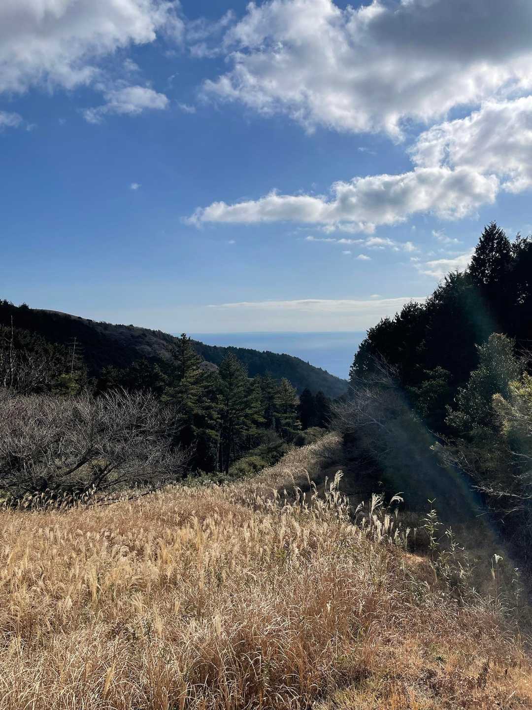 海が見えて気持ちいい