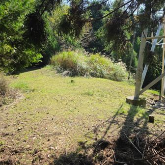 柏峠（がどこなのか、いまだに良く分かりませんが）近くの鉄塔です。