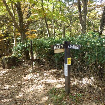 日の出平登山口
