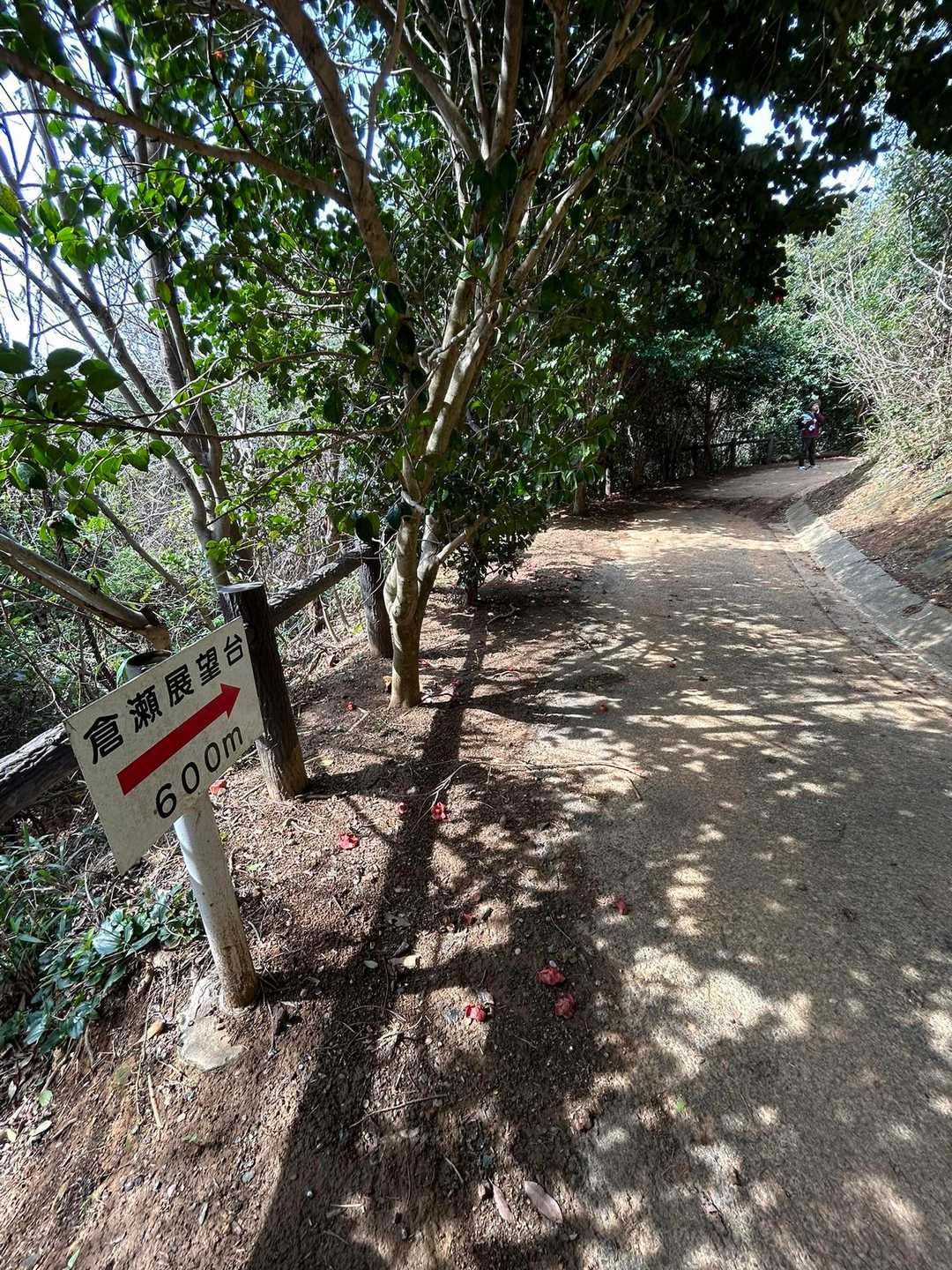 展望台へ