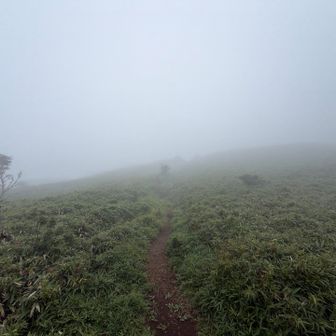 山頂手前。何も見えず。