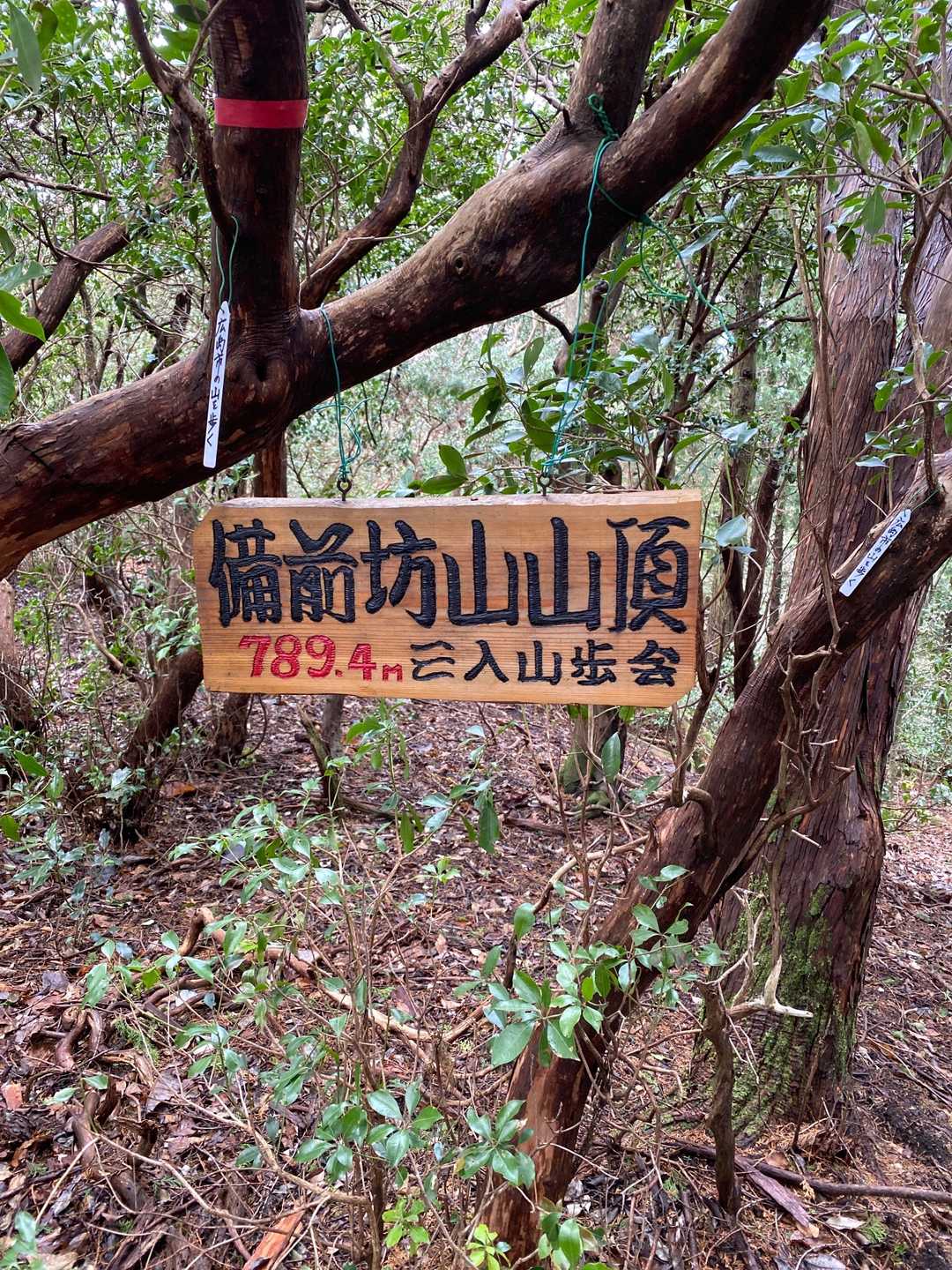 備前坊山の写真
