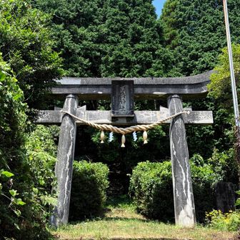 鳥居⛩️をくぐってスタート！