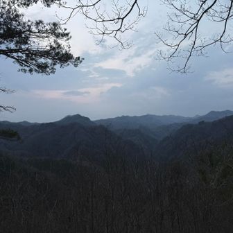 なんとかコンプリート