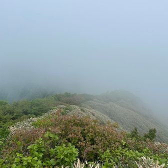 寒風山方面も真っ白😩