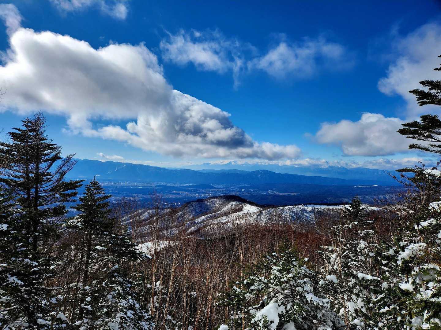 すずらん峠-蓼科山 往復コースの写真