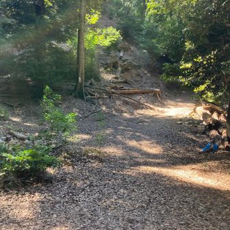 朝日山観音は右折、右折しないと天ヶ瀬ダムまで山道市道が続きます。　朝日山までの山道で電波弱くyamapで道まよい。朝日山観音からこの分岐場所まで下り6分かかります。
石が積まれた分岐をこの方向に進み奥の分岐を左に曲ると少し足元注意の坂道を数分上がり観音様につきます。電波弱い。