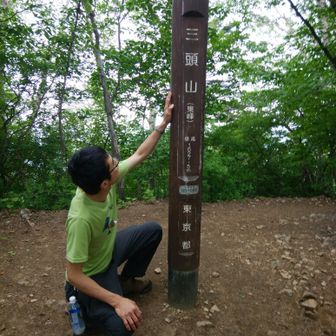 トイトイプードル