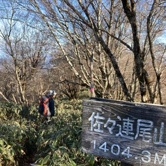 ここから大ブナの駄馬まで向かいます