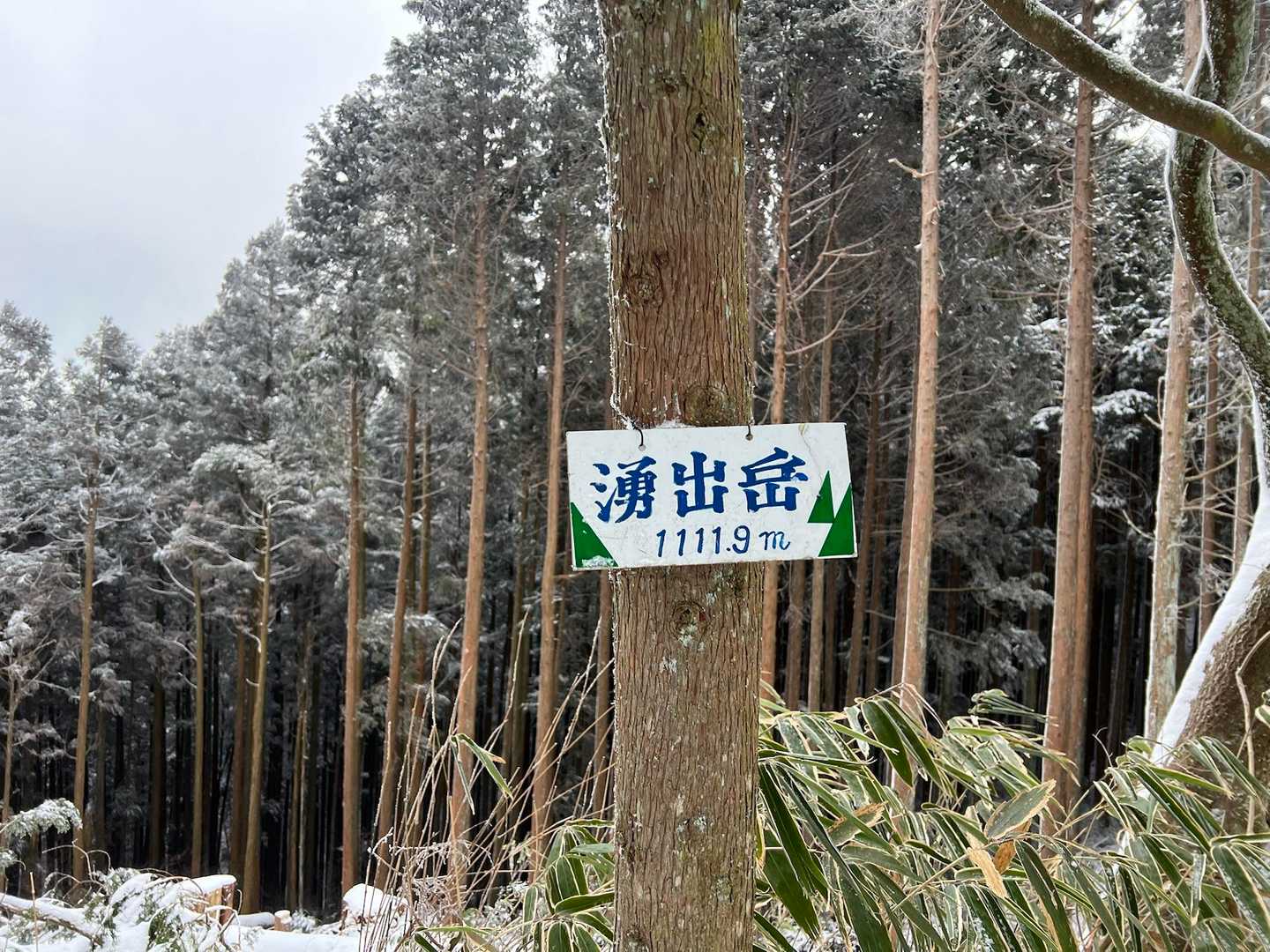 山のおもてなし｜千早本道から登る金剛山王道登山の写真