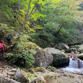 沢歩きが気持ちいい