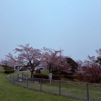 C3が見えますね。従業員さん以外の車は来ませんでした