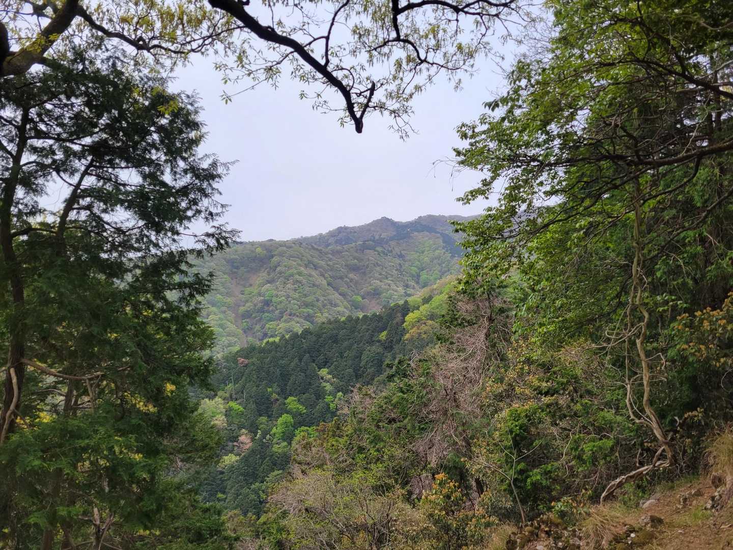 ちょっと開けた
