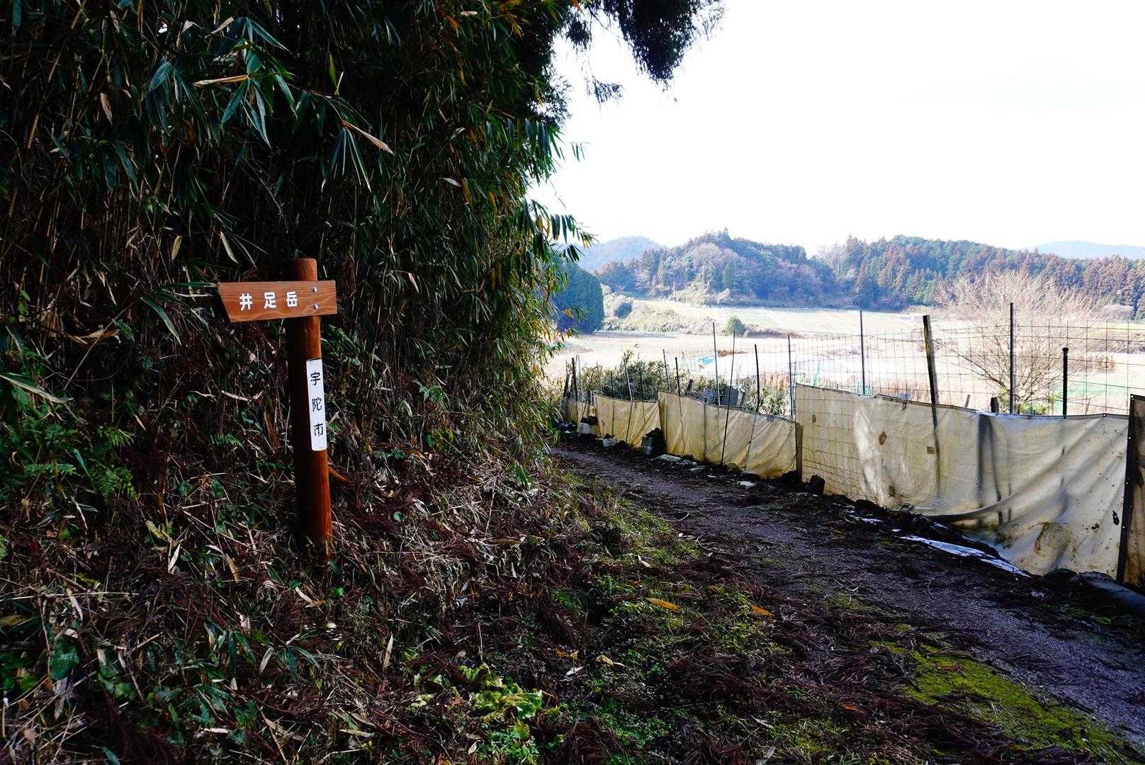 畑の横に下山