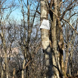 ヘベ山とうちゃこ。

しかし、標識の文字が消えかかっているな。
