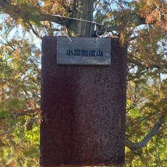 ココは小高御位