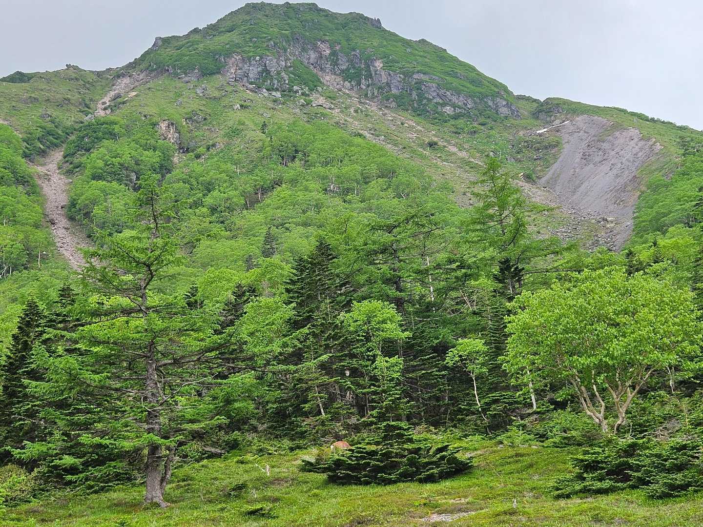 一日中見ていた白根山