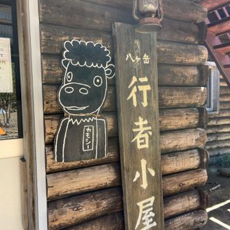 初めましてカモシー
