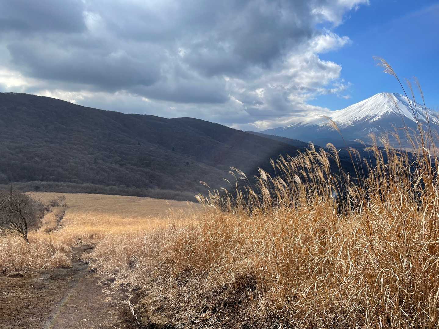 鉄砲木ノ頭-三国峠 周回コースの写真