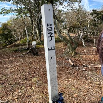 前々回の日記を確認すると、12の山頂票があったって。
