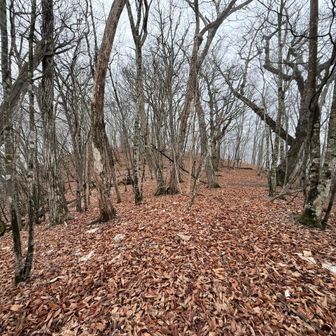 斜面を登ると行く手に道標が見えた。一般登山道だ。