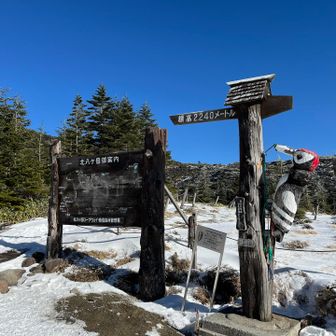 もう一度キツツキさん♬