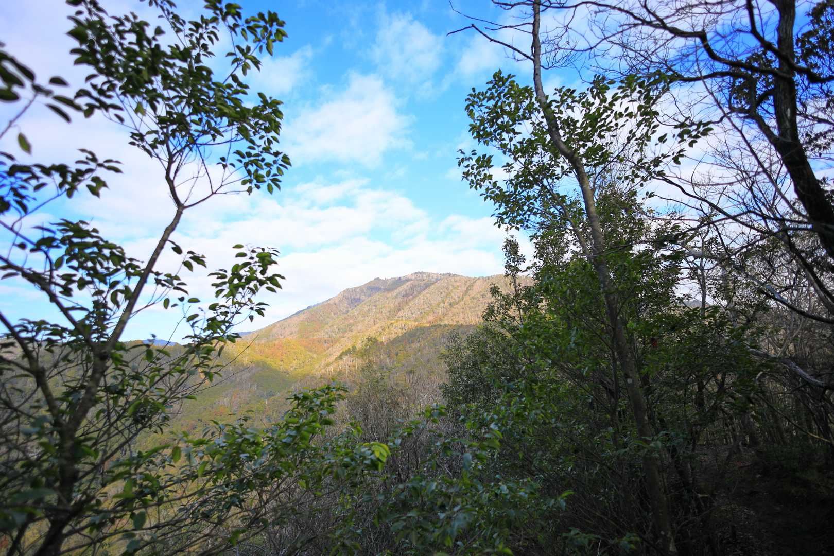 山頂を望む
