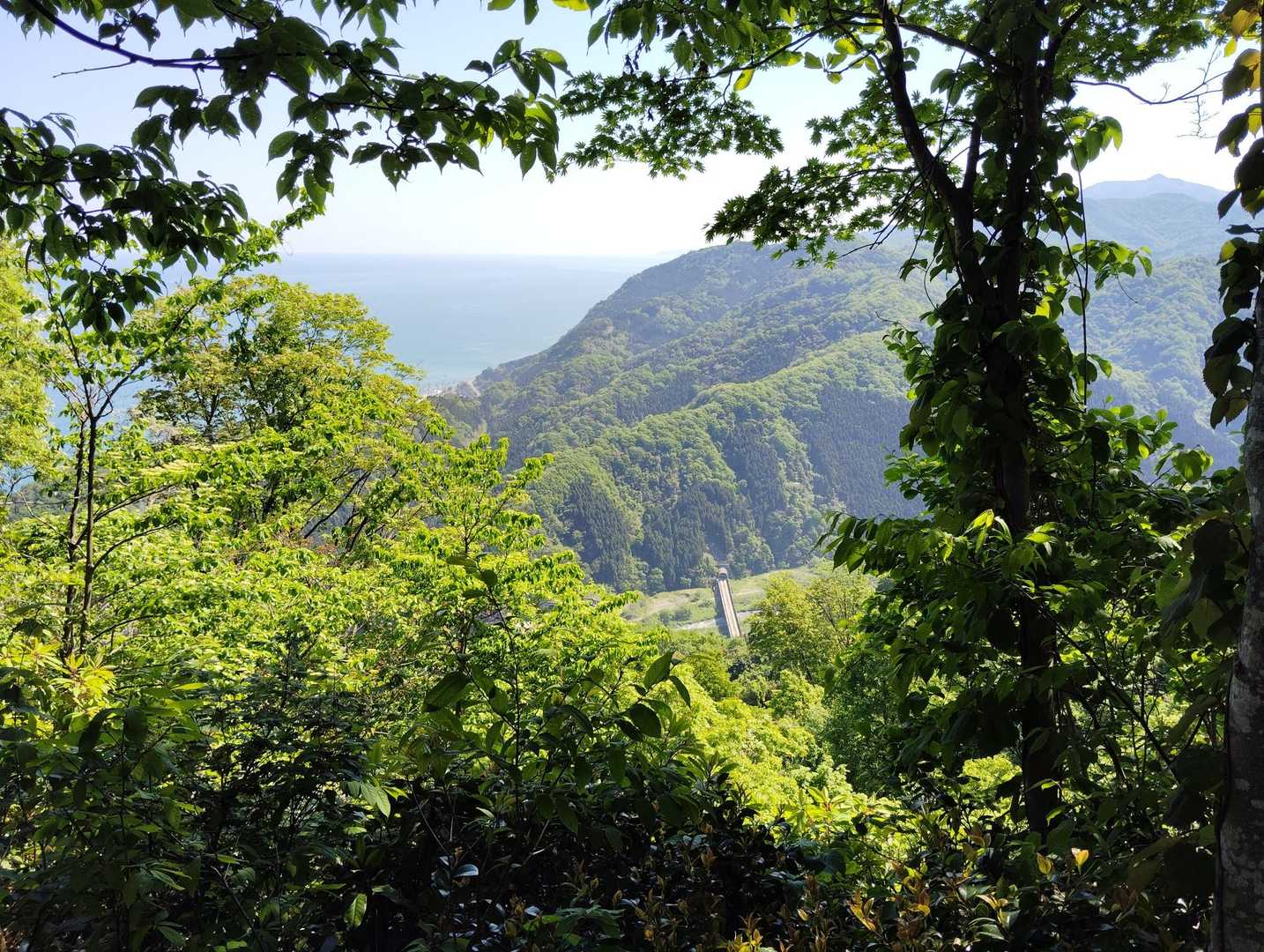 ほぼ樹林帯なんだけど、ご褒美のように来る眺望