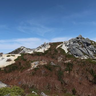 屋久島を思い出す景色