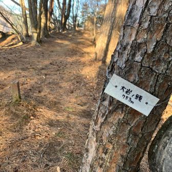 大岩の頭　山頂