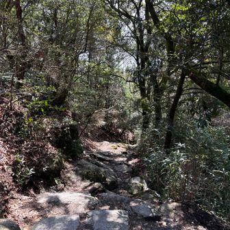 下山は正規ルートから😊